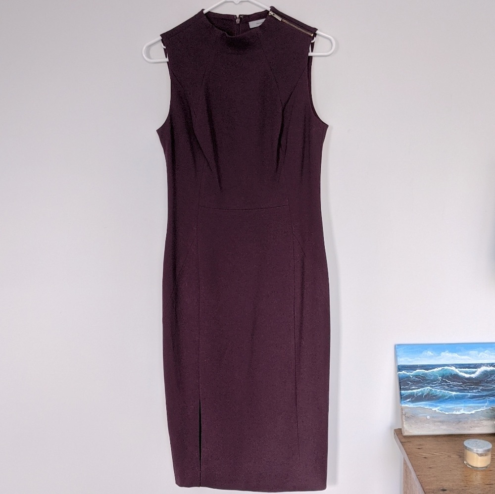 Classiques Entier Plum Dress with Shoulder Zipper